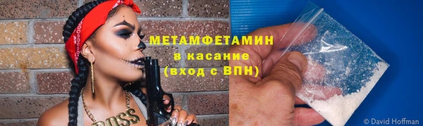 шишки Абаза