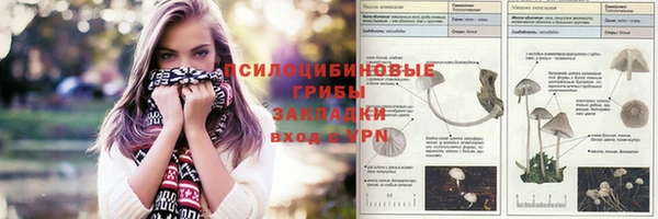 spice Абдулино