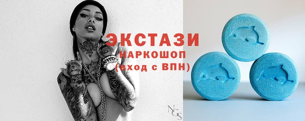 шишки Абаза