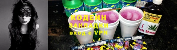 шишки Абаза