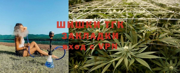 шишки Абаза