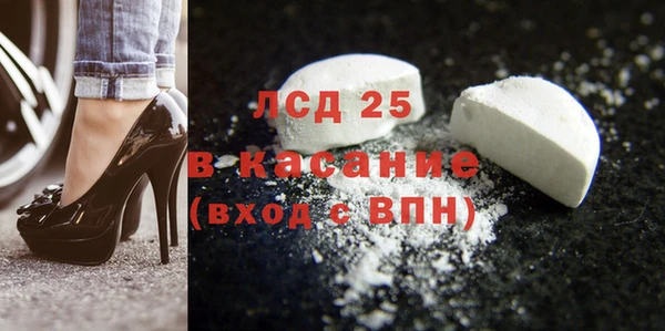 шишки Абаза